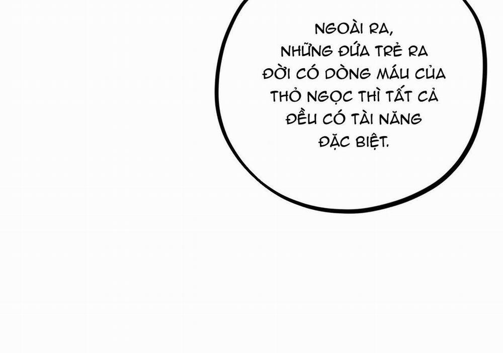 Đàn Thỏ Của Habibi 21 trang 96