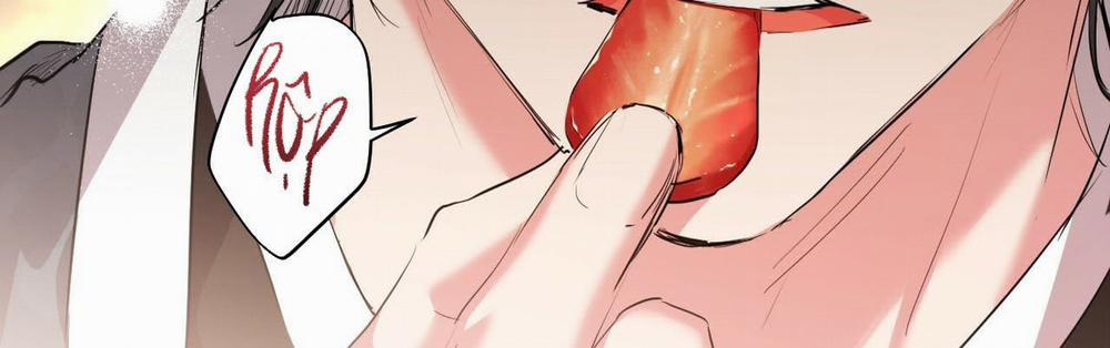 Đàn Thỏ Của Habibi 22 trang 161