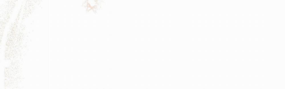 Đàn Thỏ Của Habibi 22 trang 168