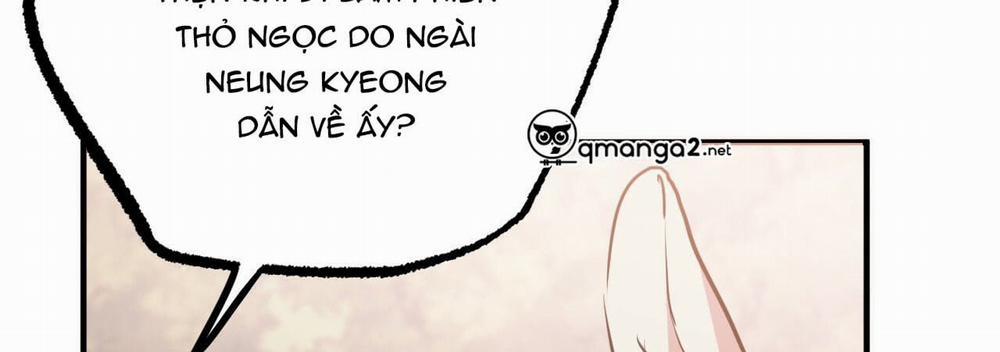 Đàn Thỏ Của Habibi 22 trang 17