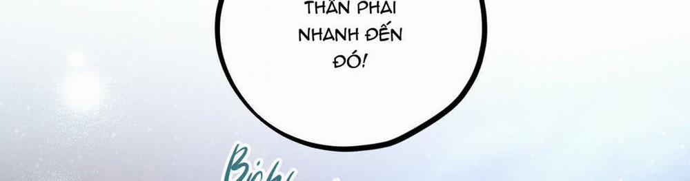 Đàn Thỏ Của Habibi 22 trang 219