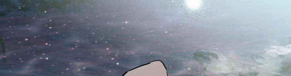 Đàn Thỏ Của Habibi 22 trang 229