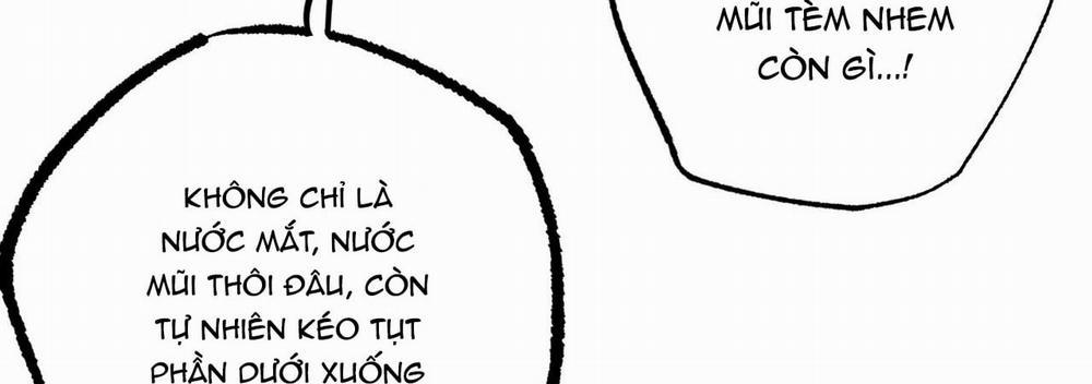 Đàn Thỏ Của Habibi 22 trang 23