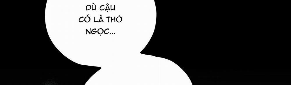 Đàn Thỏ Của Habibi 22 trang 294