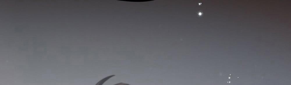 Đàn Thỏ Của Habibi 22 trang 296