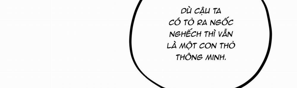 Đàn Thỏ Của Habibi 22 trang 321