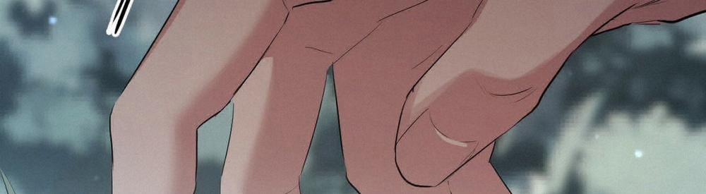 Đàn Thỏ Của Habibi 22 trang 335