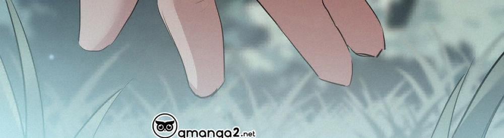 Đàn Thỏ Của Habibi 22 trang 336