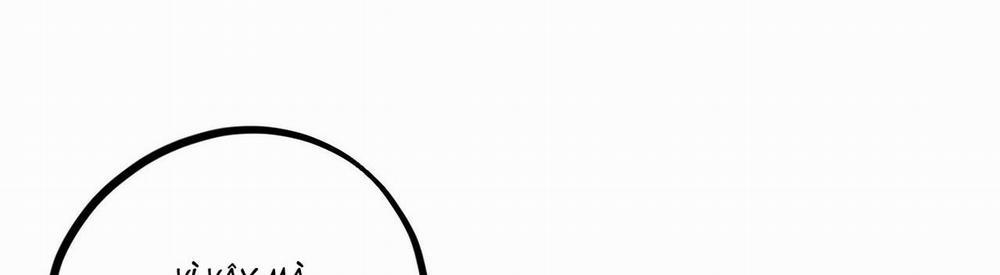 Đàn Thỏ Của Habibi 22 trang 338