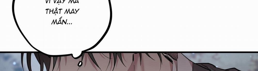 Đàn Thỏ Của Habibi 22 trang 339