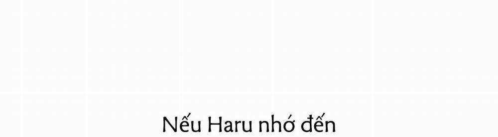 Đàn Thỏ Của Habibi 22 trang 359