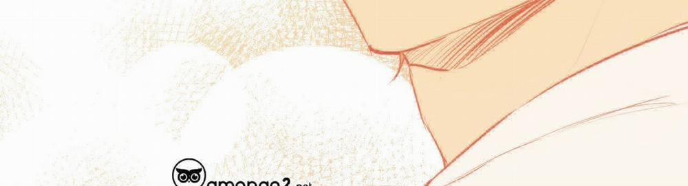 Đàn Thỏ Của Habibi 22 trang 436