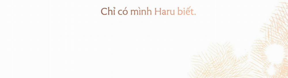 Đàn Thỏ Của Habibi 22 trang 439