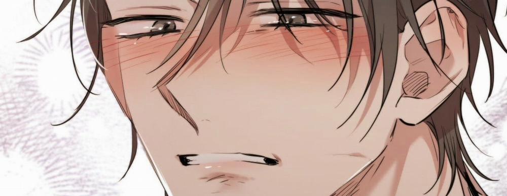 Đàn Thỏ Của Habibi 22 trang 463