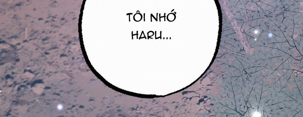 Đàn Thỏ Của Habibi 22 trang 468