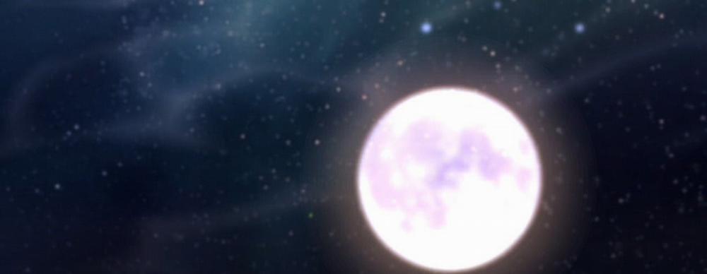 Đàn Thỏ Của Habibi 22 trang 474