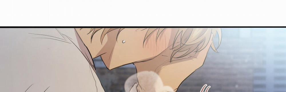 Đàn Thỏ Của Habibi 22 trang 489