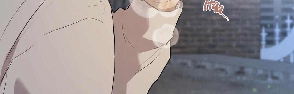 Đàn Thỏ Của Habibi 22 trang 490