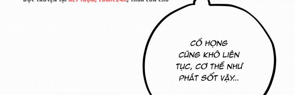 Đàn Thỏ Của Habibi 22 trang 492