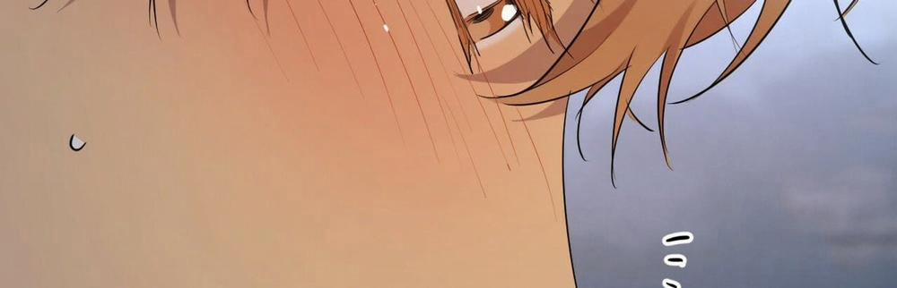 Đàn Thỏ Của Habibi 22 trang 495