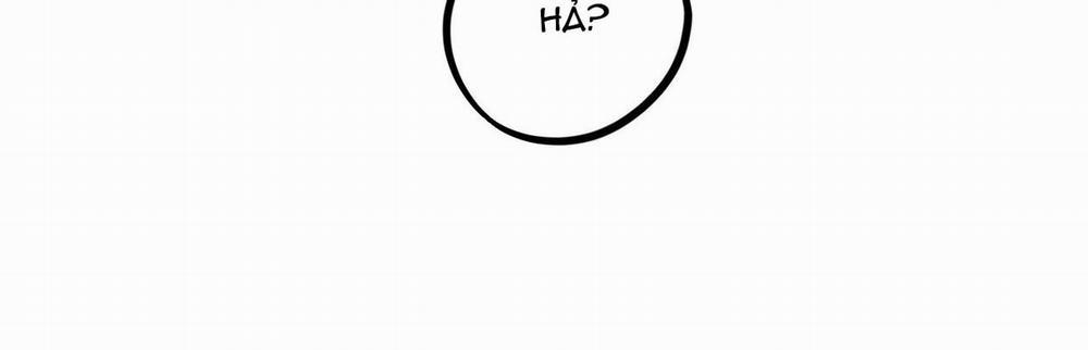 Đàn Thỏ Của Habibi 22 trang 497