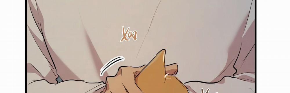 Đàn Thỏ Của Habibi 22 trang 507