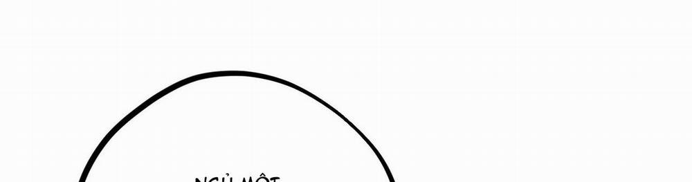 Đàn Thỏ Của Habibi 22 trang 520