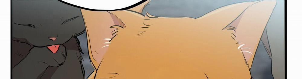 Đàn Thỏ Của Habibi 22 trang 522