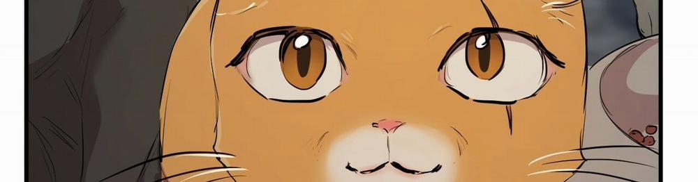 Đàn Thỏ Của Habibi 22 trang 523