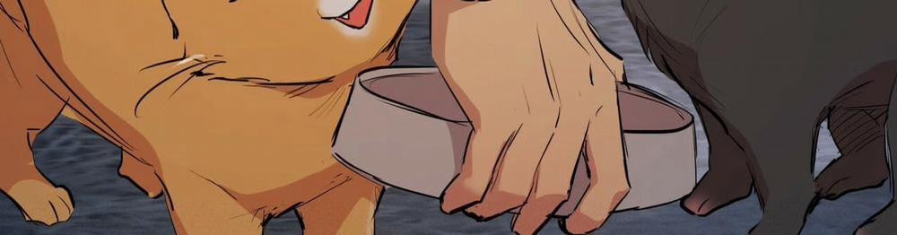 Đàn Thỏ Của Habibi 22 trang 532