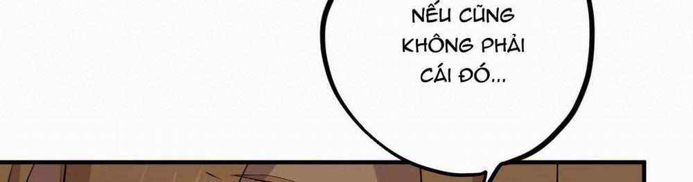 Đàn Thỏ Của Habibi 22 trang 536