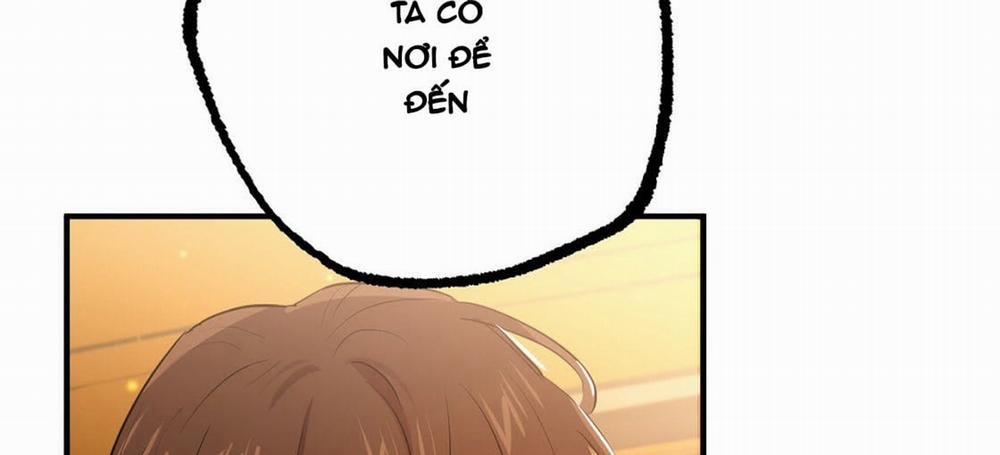 Đàn Thỏ Của Habibi 23 trang 122