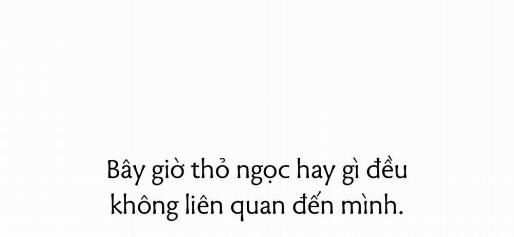 Đàn Thỏ Của Habibi 23 trang 186