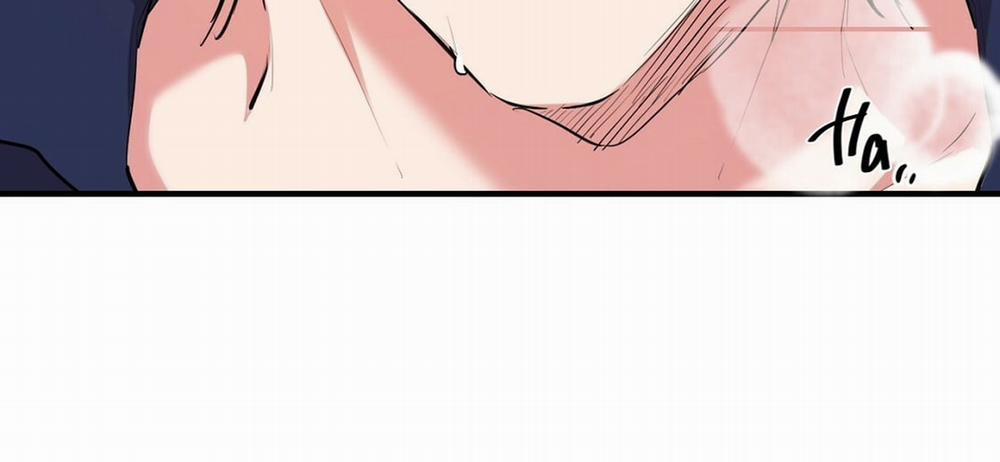 Đàn Thỏ Của Habibi 23 trang 200