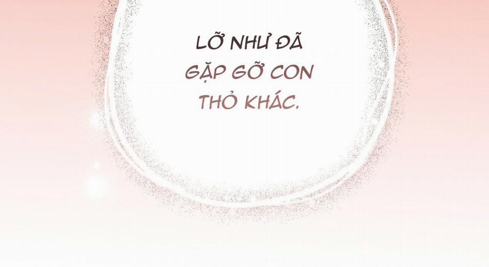 Đàn Thỏ Của Habibi 23 trang 208