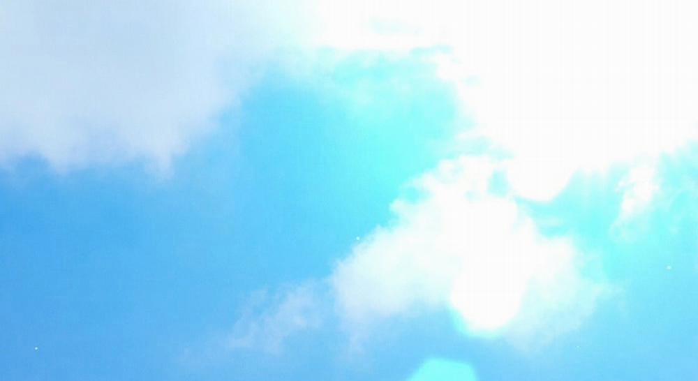 Đàn Thỏ Của Habibi 23 trang 217