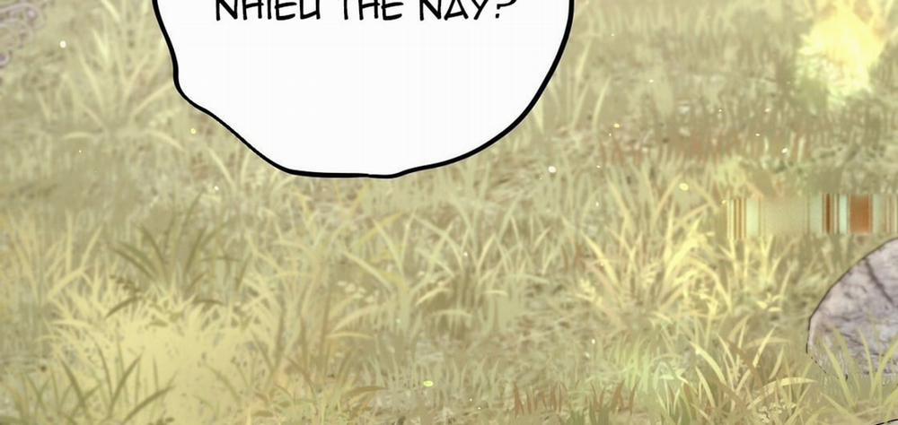 Đàn Thỏ Của Habibi 23 trang 234