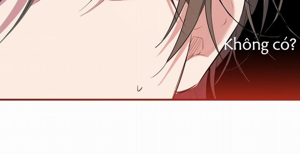 Đàn Thỏ Của Habibi 23 trang 256