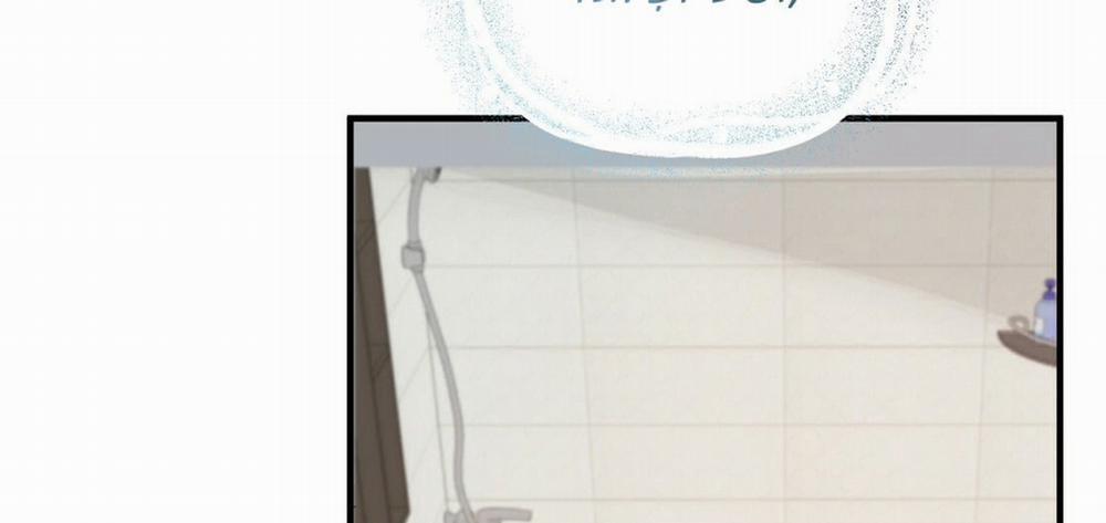 Đàn Thỏ Của Habibi 23 trang 262