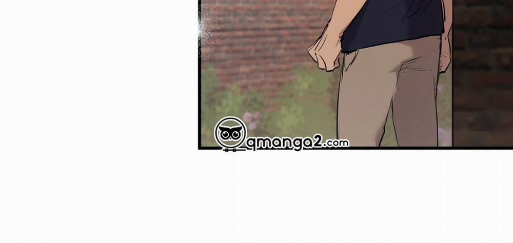 Đàn Thỏ Của Habibi 23 trang 309