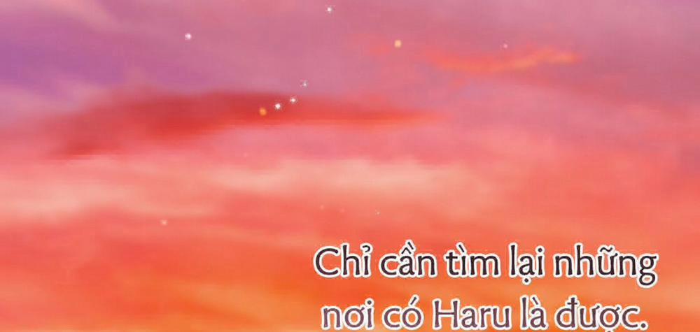 Đàn Thỏ Của Habibi 23 trang 315