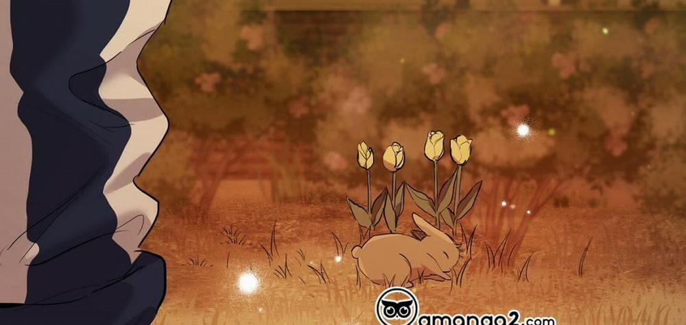 Đàn Thỏ Của Habibi 23 trang 319