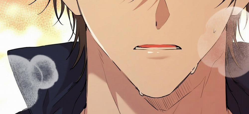 Đàn Thỏ Của Habibi 23 trang 323