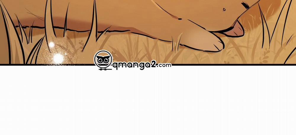 Đàn Thỏ Của Habibi 23 trang 329