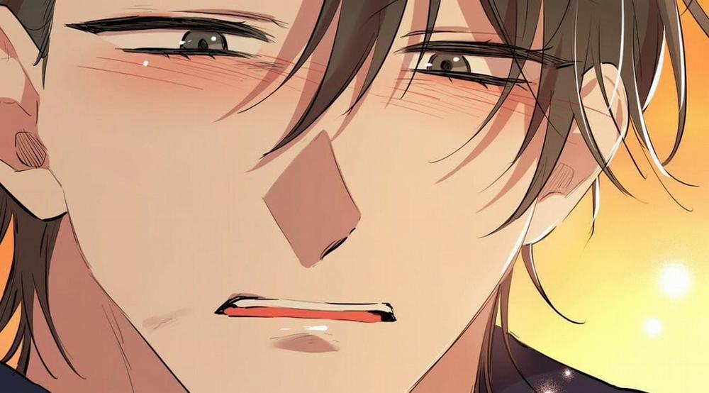 Đàn Thỏ Của Habibi 23 trang 347