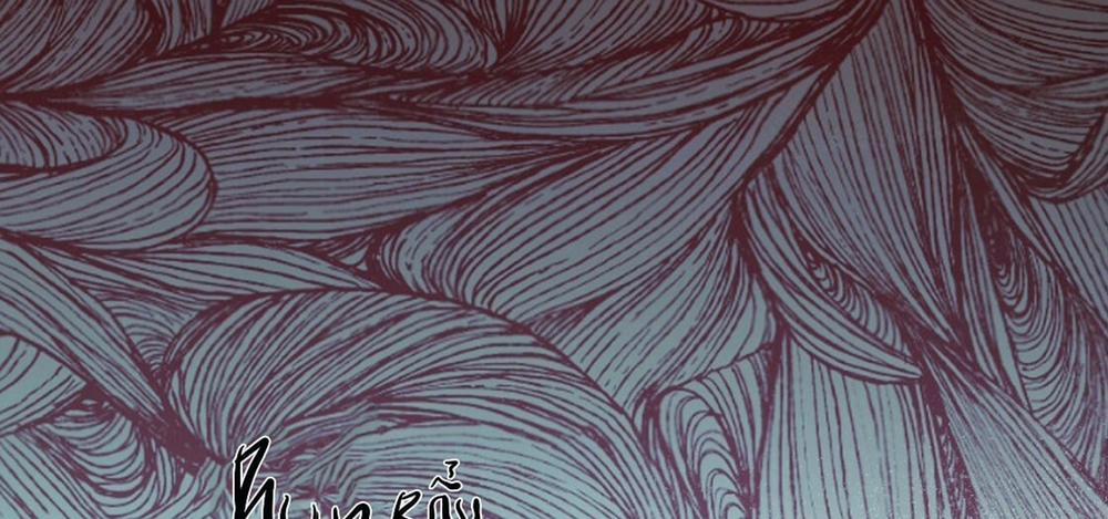 Đàn Thỏ Của Habibi 23 trang 65