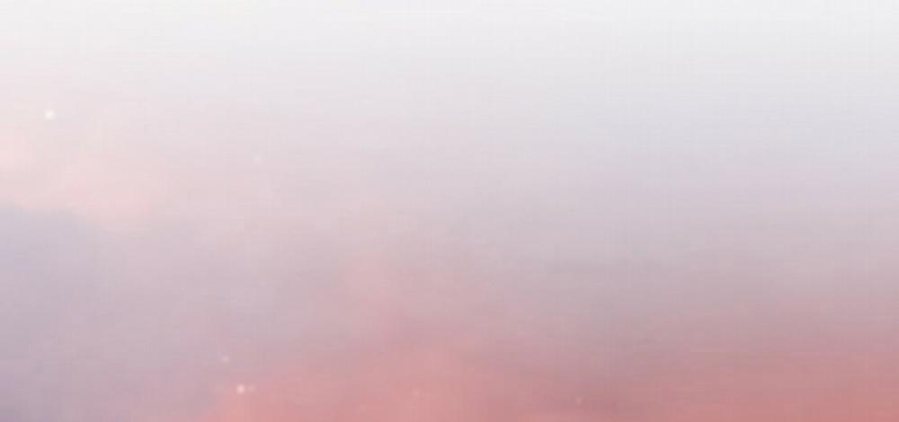 Đàn Thỏ Của Habibi 23 trang 75