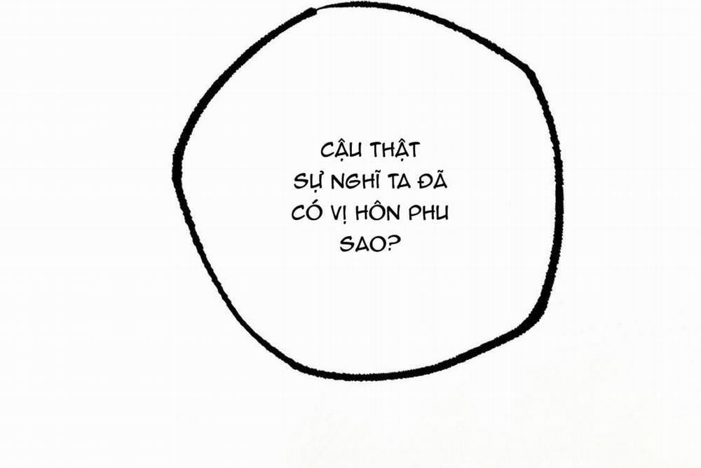 Đàn Thỏ Của Habibi 24 trang 145