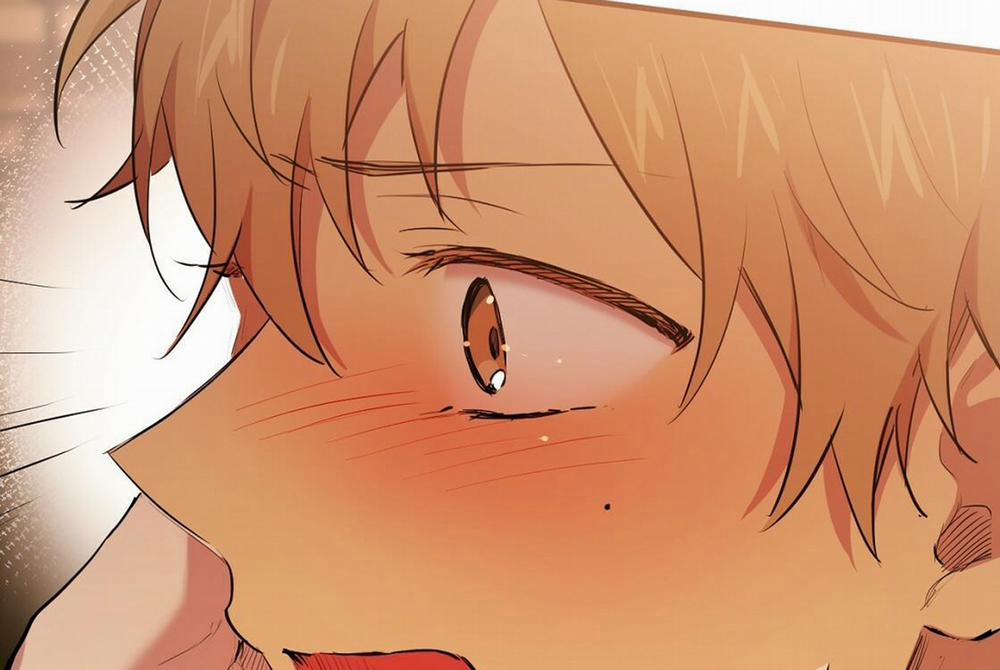 Đàn Thỏ Của Habibi 24 trang 154