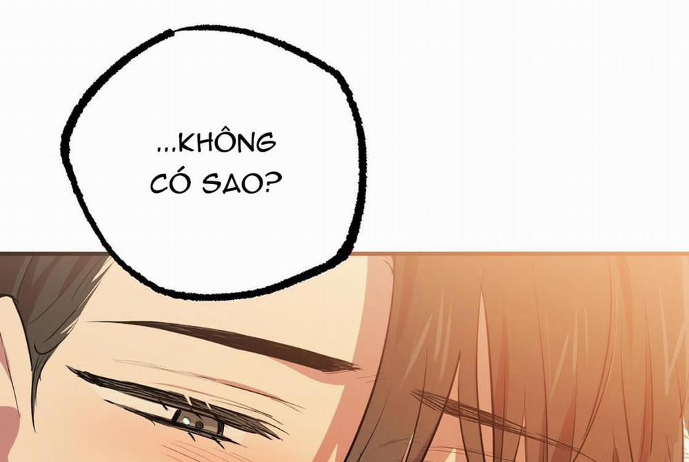 Đàn Thỏ Của Habibi 24 trang 174